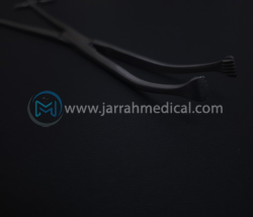قیمت و خرید آلیس لوزه